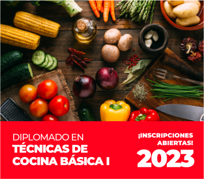 Diplomado en Técnicas de Cocina Básica I